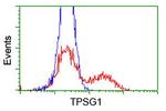 TPSG1 Antibody in Flow Cytometry (Flow)