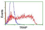 TRAIP Antibody in Flow Cytometry (Flow)
