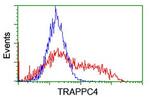 TRAPPC4 Antibody in Flow Cytometry (Flow)