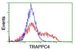 TRAPPC4 Antibody in Flow Cytometry (Flow)