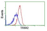 TRIM2 Antibody in Flow Cytometry (Flow)