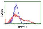 TRIM44 Antibody in Flow Cytometry (Flow)