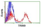 TRIM9 Antibody in Flow Cytometry (Flow)