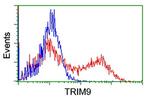 TRIM9 Antibody in Flow Cytometry (Flow)
