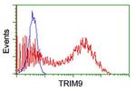 TRIM9 Antibody in Flow Cytometry (Flow)