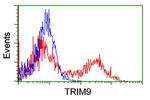 TRIM9 Antibody in Flow Cytometry (Flow)