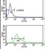 TRIP13 Antibody in Flow Cytometry (Flow)