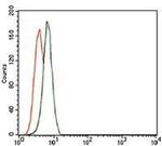 TRIP6 Antibody in Flow Cytometry (Flow)
