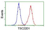TSC22D1 Antibody in Flow Cytometry (Flow)
