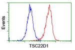 TSC22D1 Antibody in Flow Cytometry (Flow)