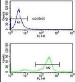 TSPAN2 Antibody in Flow Cytometry (Flow)