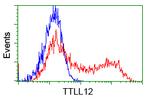 TTLL12 Antibody in Flow Cytometry (Flow)