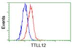 TTLL12 Antibody in Flow Cytometry (Flow)