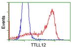 TTLL12 Antibody in Flow Cytometry (Flow)