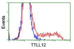 TTLL12 Antibody in Flow Cytometry (Flow)