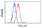 TTLL12 Antibody in Flow Cytometry (Flow)