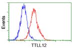 TTLL12 Antibody in Flow Cytometry (Flow)
