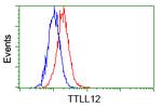 TTLL12 Antibody in Flow Cytometry (Flow)