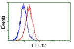 TTLL12 Antibody in Flow Cytometry (Flow)