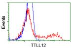 TTLL12 Antibody in Flow Cytometry (Flow)