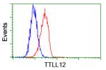 TTLL12 Antibody in Flow Cytometry (Flow)