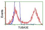 TUBA3E Antibody in Flow Cytometry (Flow)