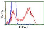 TUBA3E Antibody in Flow Cytometry (Flow)