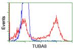TUBA8 Antibody in Flow Cytometry (Flow)