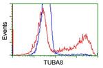 TUBA8 Antibody in Flow Cytometry (Flow)