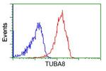 TUBA8 Antibody in Flow Cytometry (Flow)