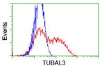 TUBAL3 Antibody in Flow Cytometry (Flow)