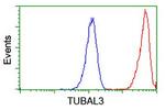 TUBAL3 Antibody in Flow Cytometry (Flow)