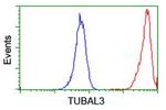 TUBAL3 Antibody in Flow Cytometry (Flow)