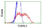 TUBAL3 Antibody in Flow Cytometry (Flow)