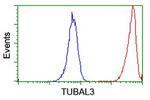 TUBAL3 Antibody in Flow Cytometry (Flow)