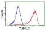 TUBAL3 Antibody in Flow Cytometry (Flow)