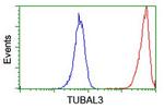 TUBAL3 Antibody in Flow Cytometry (Flow)