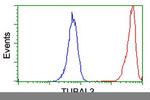 TUBAL3 Antibody in Flow Cytometry (Flow)