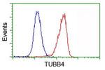 TUBB4 Antibody in Flow Cytometry (Flow)