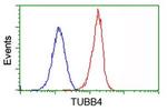 TUBB4 Antibody in Flow Cytometry (Flow)