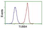 TUBB4 Antibody in Flow Cytometry (Flow)