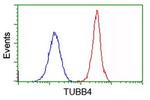 TUBB4 Antibody in Flow Cytometry (Flow)