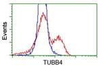 TUBB4 Antibody in Flow Cytometry (Flow)