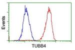 TUBB4 Antibody in Flow Cytometry (Flow)