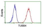 TUBB4 Antibody in Flow Cytometry (Flow)