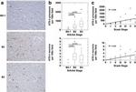 Phospho-Tau (Ser202, Thr205) Antibody in Immunohistochemistry (IHC)