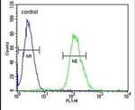 Tankyrase 2 Antibody in Flow Cytometry (Flow)