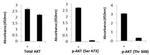 Multispecies AKT InstantOne™ ELISA Kit