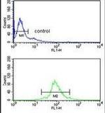 U2AF1 Antibody in Flow Cytometry (Flow)
