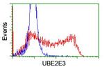 UBE2E3 Antibody in Flow Cytometry (Flow)